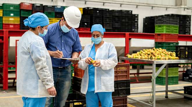 Getty image of food inspection